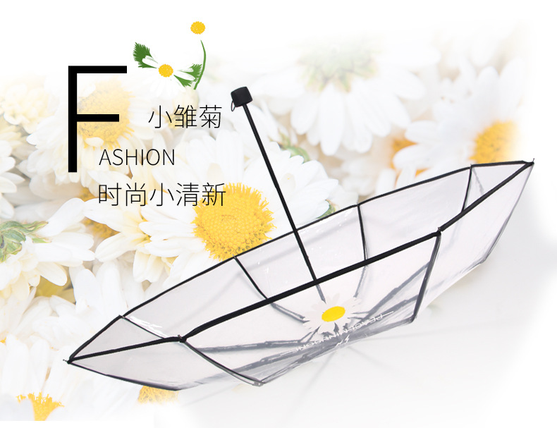小雏菊伞_01.jpg