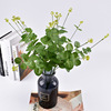 16 fork Yogalli Home Wedding Decoration Simulus Flower Plant Money Leaf Pseudo -Pseudo -Pagot Flower Wholesale