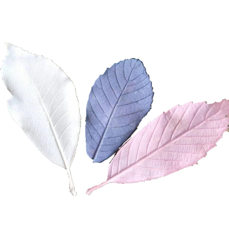 微信图片_20200424222851