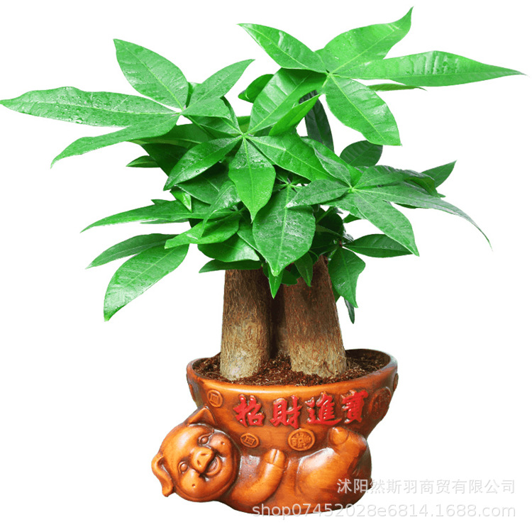 QQͼƬ20200803165930