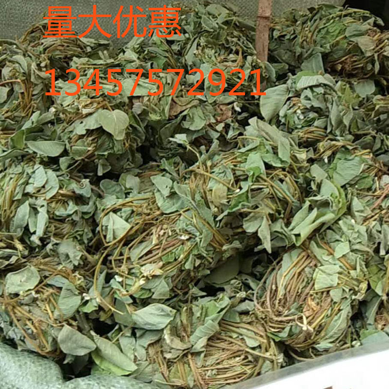 广西新鲜晒干大叶金钱草广金钱草化石茶药材店铺批发石