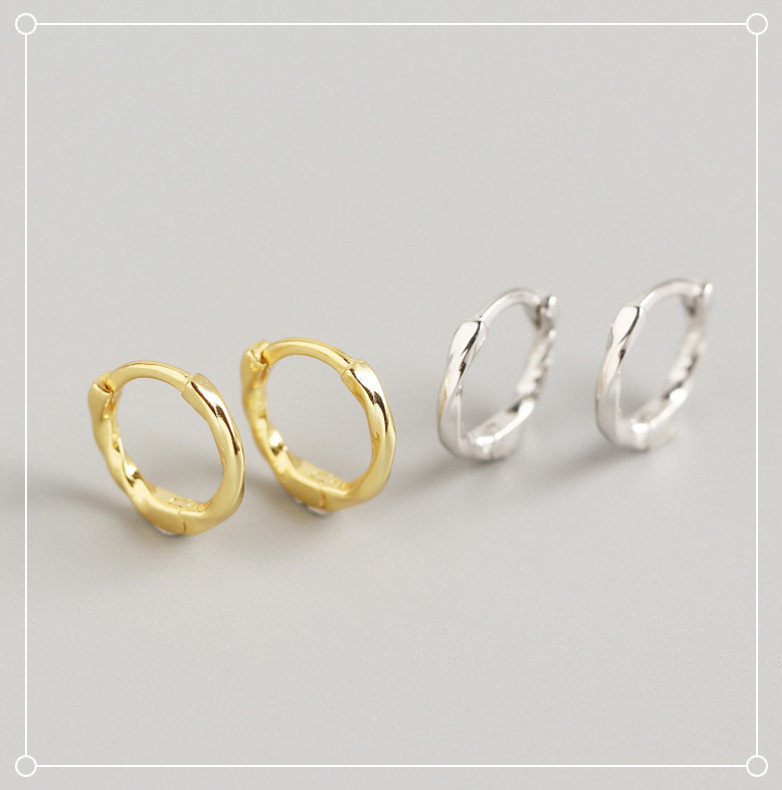 Geometric Casual Simple Style Classic Style 925 Sterling Silver No Inlaid Plating Earrings display picture 1