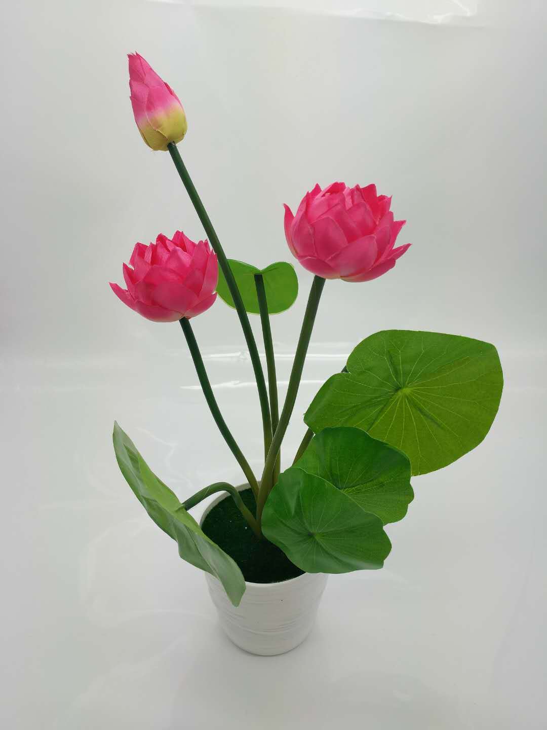 WeChat 圖片_20200704121147