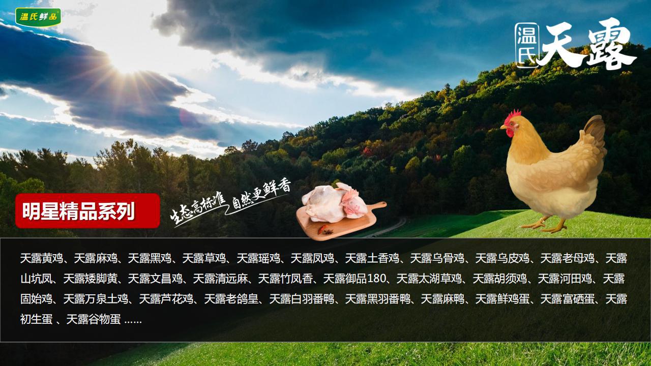 详情介绍