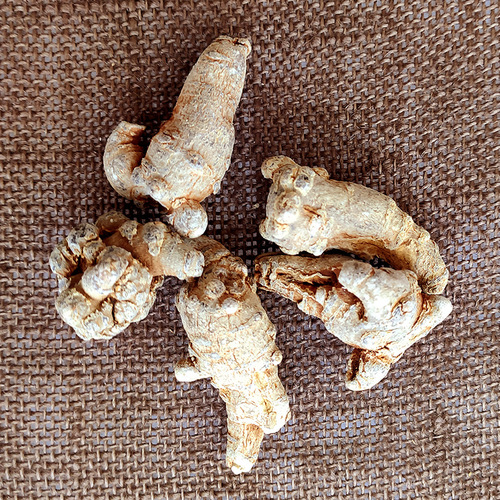 Large quantity new goods factory direct sales Yunnan specialty Wenshan Panax notoginseng 20 heads 30 heads Panax notoginseng 250g Panax notoginseng wholesale