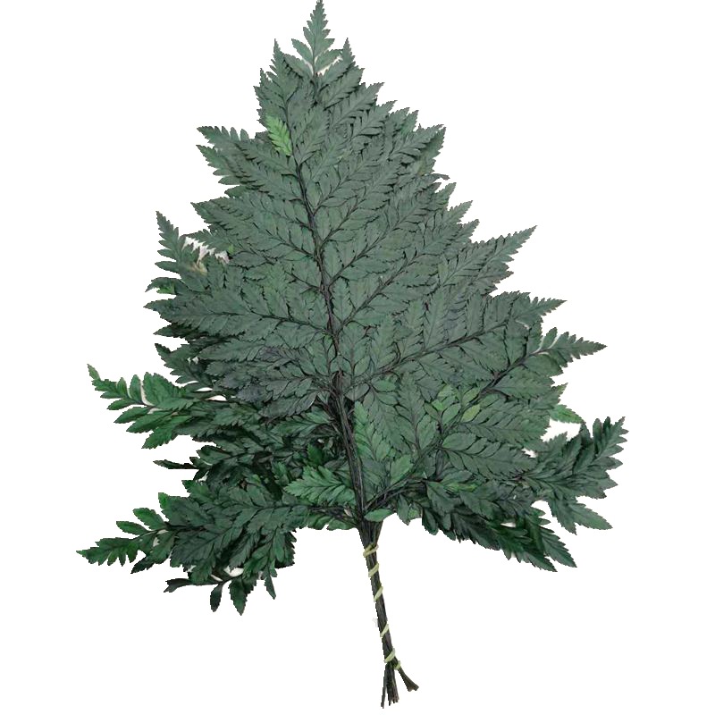 9848451020_1583333284