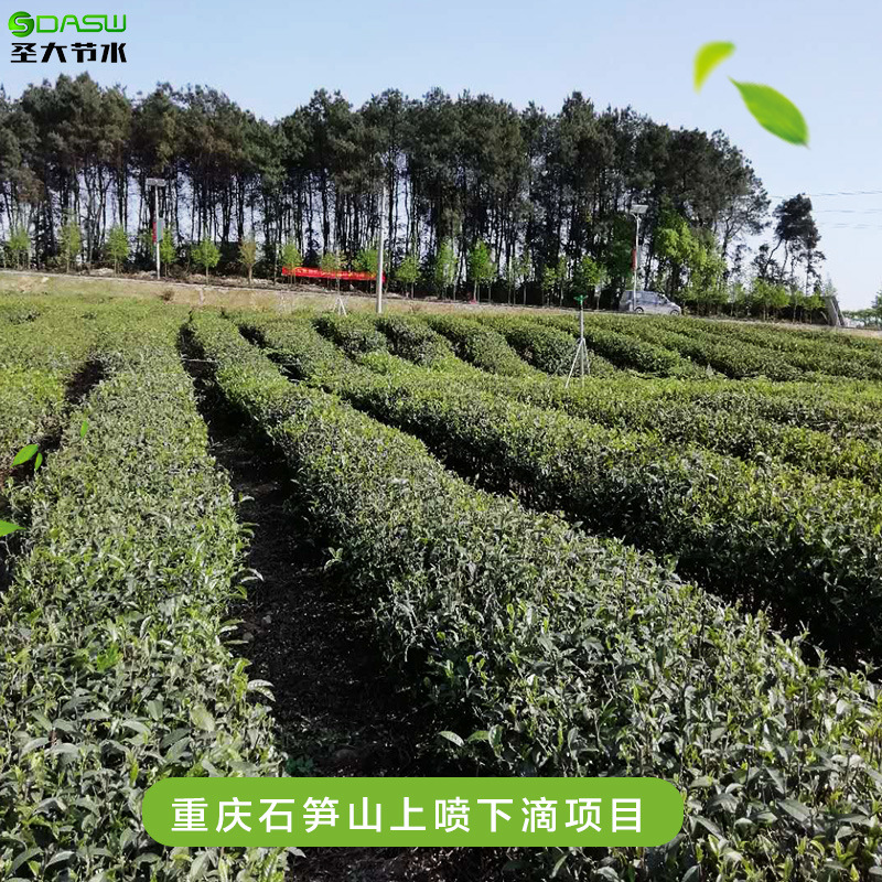 重慶石筍山上噴下滴項目施工 茶園節水灌溉水肥一體化施肥機型號