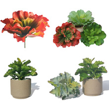 仿真多肉植物女王花 微景观diy绿植物假蔬菜家居装饰花卉盆栽植物