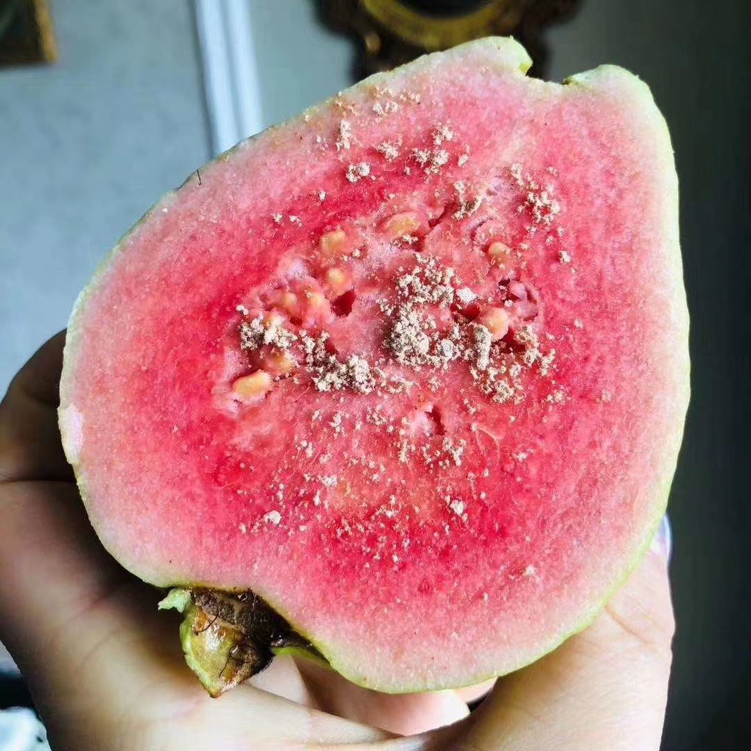 60d5069e2b3e67fc81c8de0db4b695