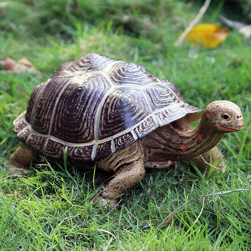 PL127-1312超大象龟