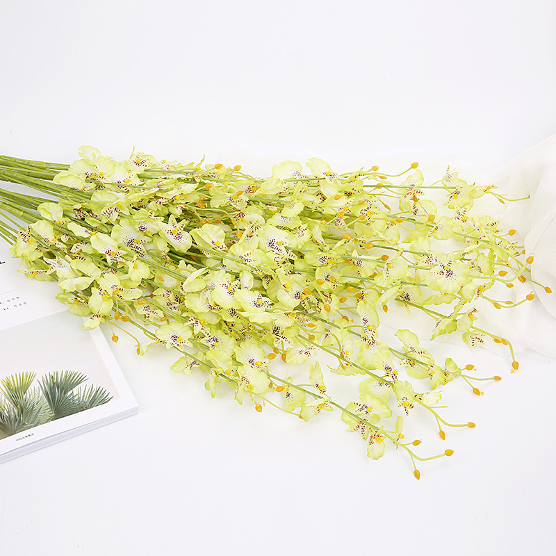 9036538627_727944227