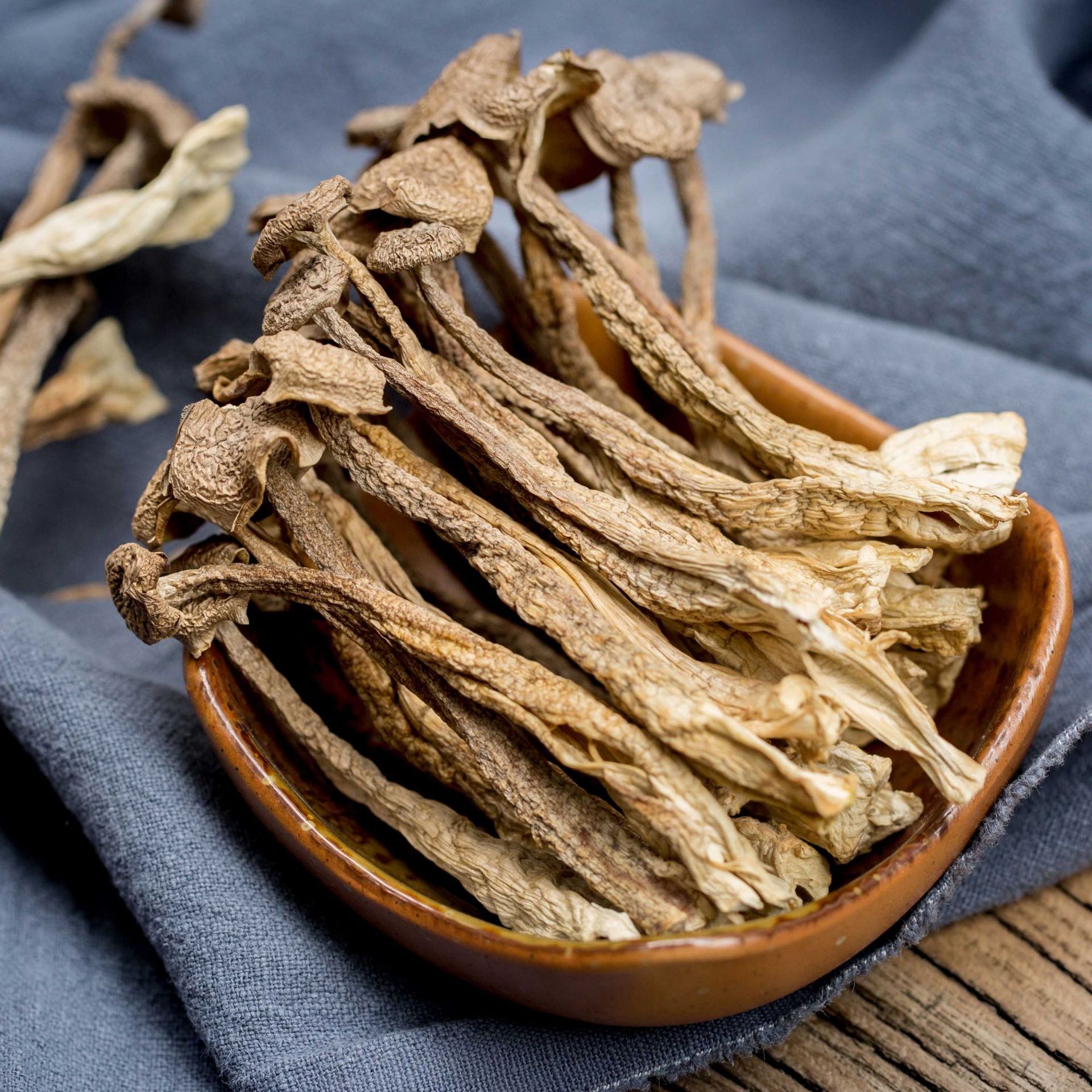 鹿茸菇干货10斤530 鹿茸菌菇批发