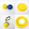 Toy, frisbee, bouncy ball for training, pet