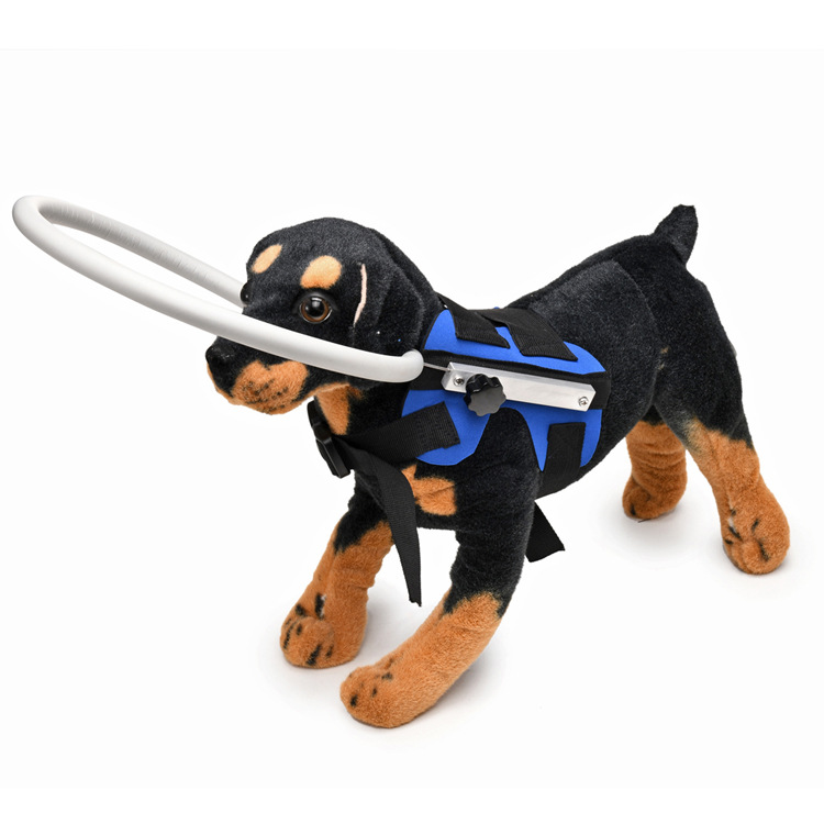 无题目录 09629.JPG