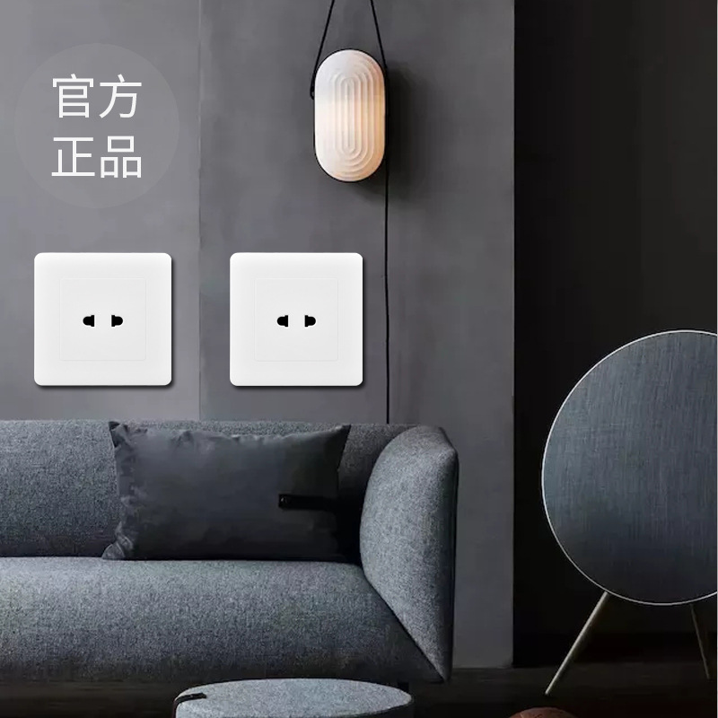 International Electrical Type 86 Wall Outlet with 2-Socket Charging Column, 2-Pin 10A Charging Port, 2-Socket Configuration