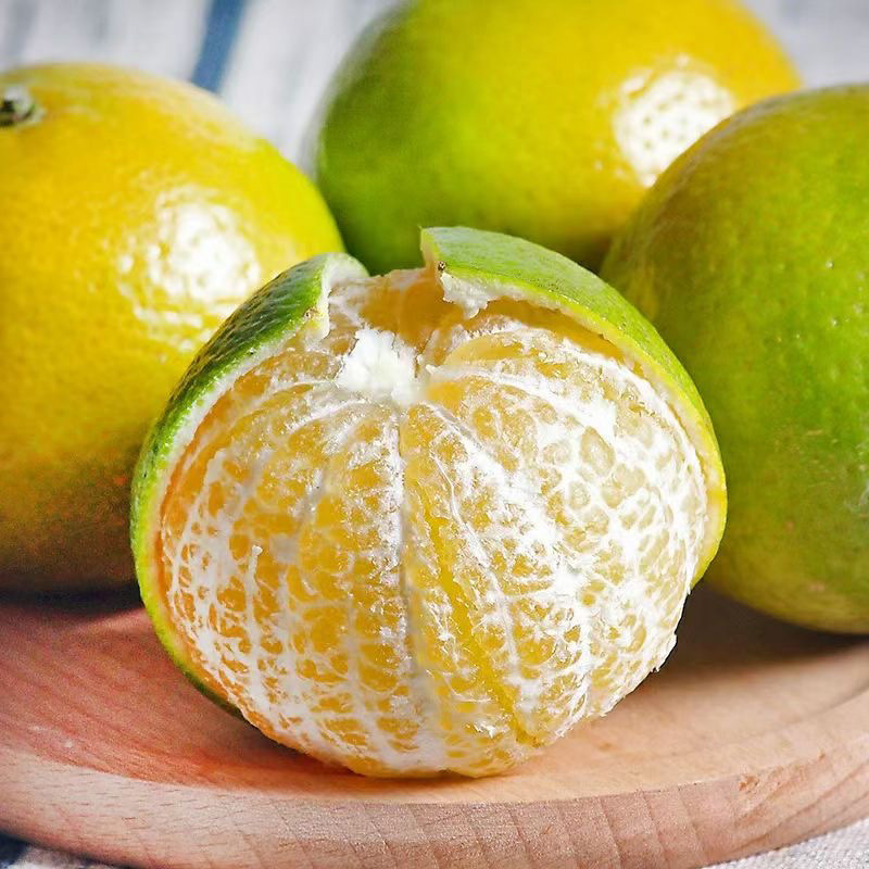 廣西皇帝柑當季水果柑橘 果園現摘現發非沃柑砂糖橘9斤整箱