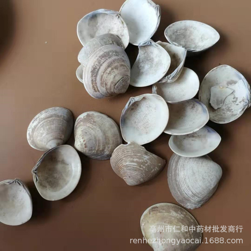 Sea Clam Shell Hai Ge Ke Dried Herbal Ingredient 500g for Culinary and Traditional Use overview