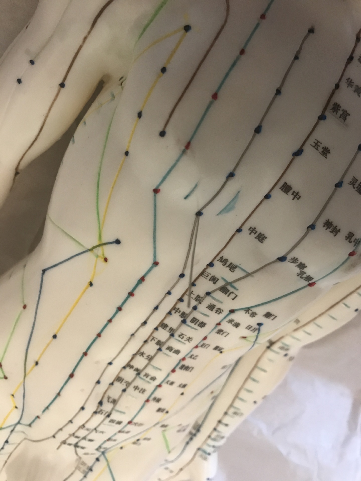 Acupuncture, 60cm