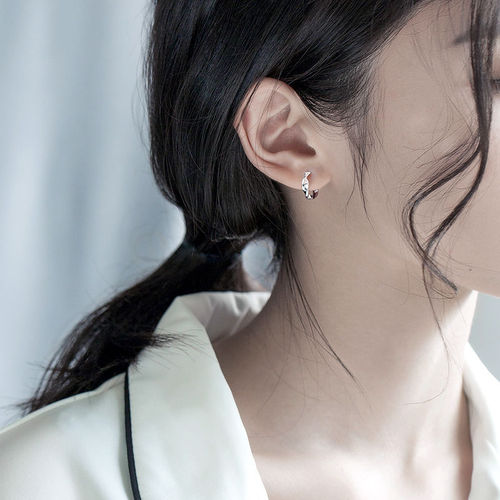 S925 silver earrings  new trendy earrings for women with cold style niche circle earrings and versatile temperament