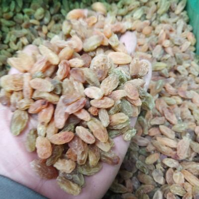 Manufactor Direct selling Raisins 500 Raisin