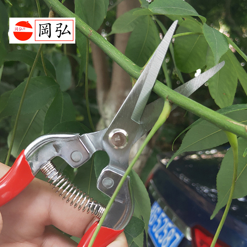 台湾冈弘318园艺剪刀树枝修枝剪果树葡萄剪子园林摘果剪花艺剪刀