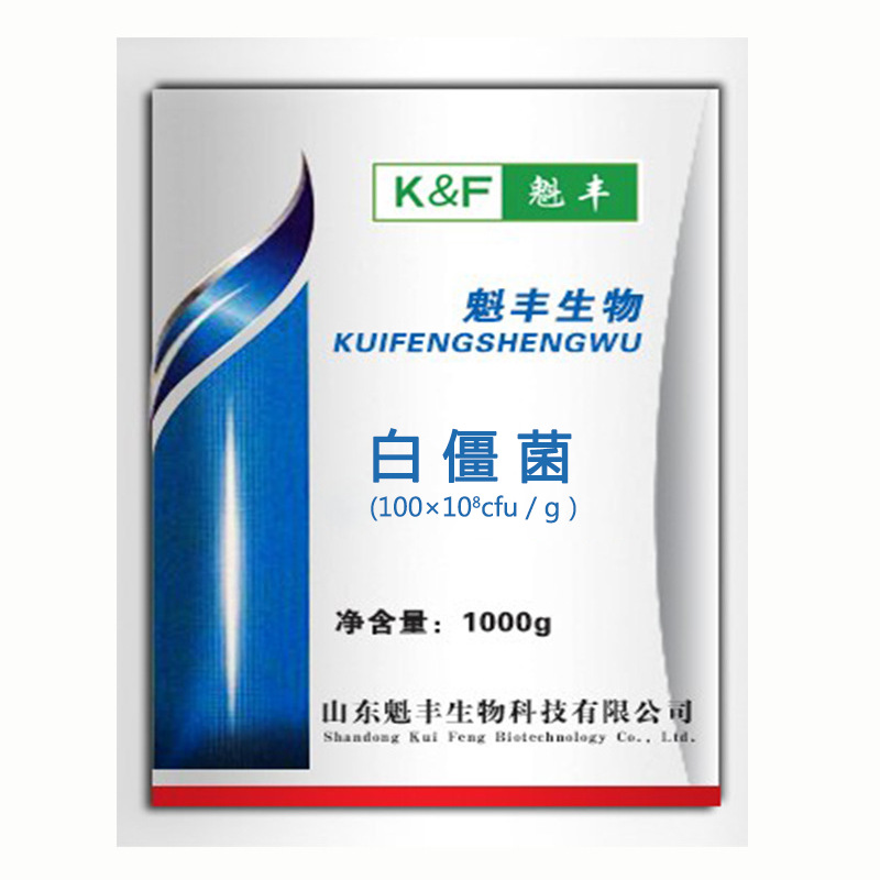 白僵菌农业用微生物菌剂100亿含量白僵菌