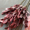 Autumn -colored fruit 5 fork eucalyptus leaves Apple leaf simulation European -style silk flower home wedding wedding hall decoration wholesale