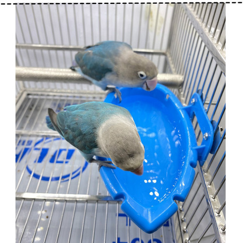Bird bathing box with hanging bird bath, parrot bathing supplies, bathing room, feeder factory