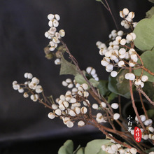 小白果干花礼物diy干果乌桕果毕业花束花材插花装饰厂家直供