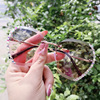 New fashion ladies inlaid diamond -free cut -cut sunglasses Douyin net red the same cover face and thin street shooting sunglasses