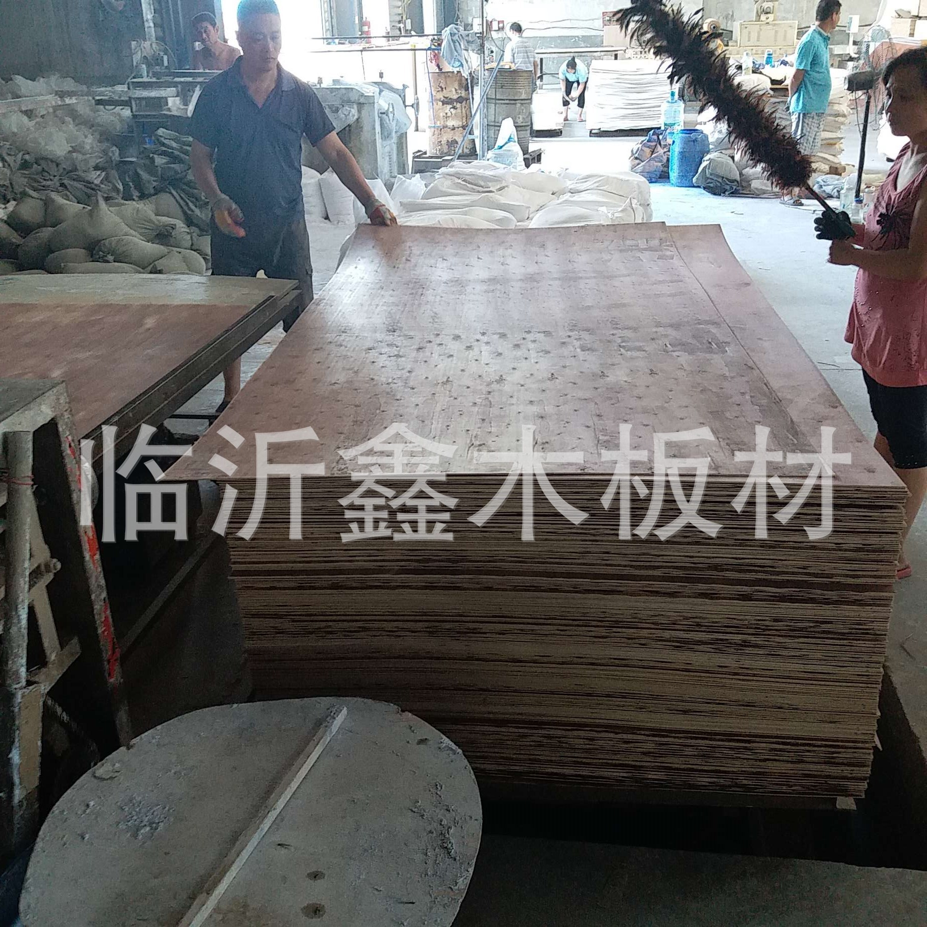 PVC贴面桉木芯胶合板