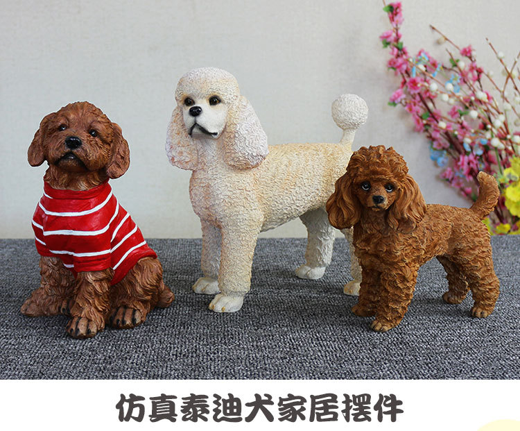 泰迪犬_01.jpg