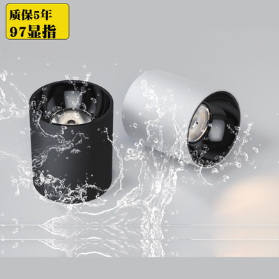 IP65防水明裝筒燈6-80W 戶外吸頂燈走廊雨棚天棚防水壁燈室外射燈