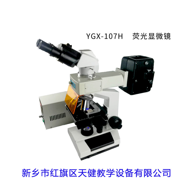 双目头荧光显微镜工业检测仪器设备检测显微镜教学科研使用显微镜