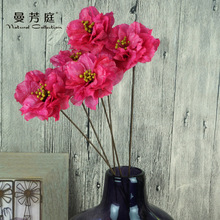 山茶花手工創意干花 植物材料家居裝飾干花新年福桶插花干花花束