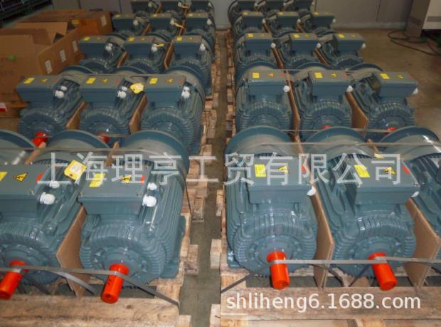 ELECTRAMO系列电机  YE3-160M-4 全新欧洲进口