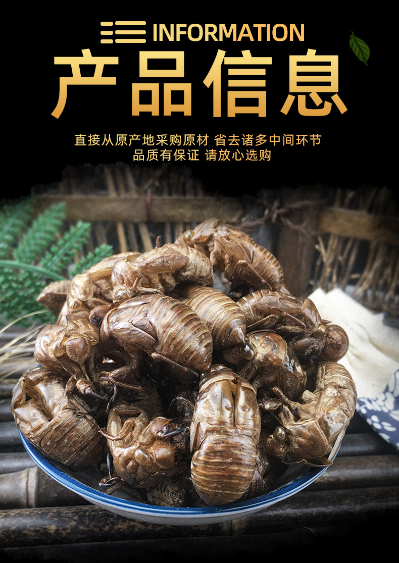 Cicada Slough Chan Tui 蝉蜕 Dried Whole Molts Traditional TCM Herb 500g Washed and Sun Dried specifications