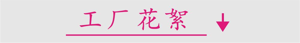 工厂花絮分界线