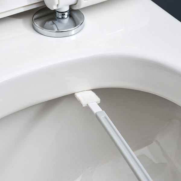 Disposable toilet