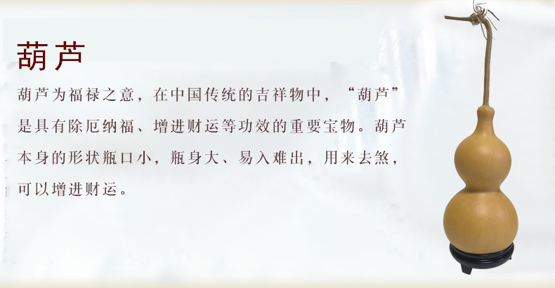 普通葫芦_05.jpg