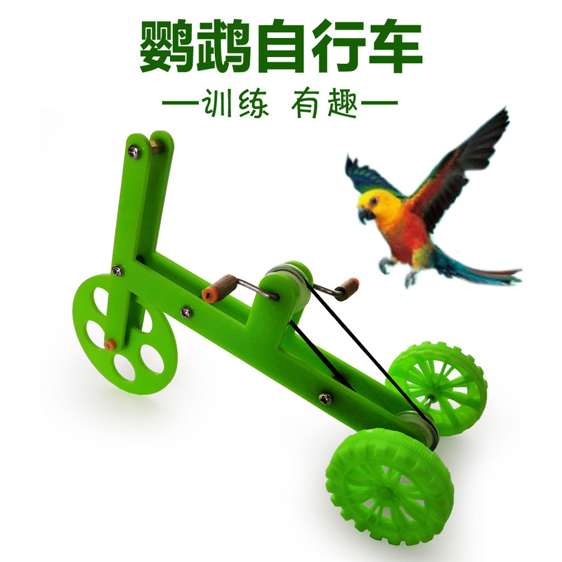 Parrot toy training bicycle bird training supplies props bicycle Xuanfeng little sun training toys wholesale