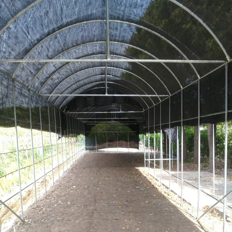 加工安装走廊温室 花卉大棚种植大棚走廊温室 承重高质量轻