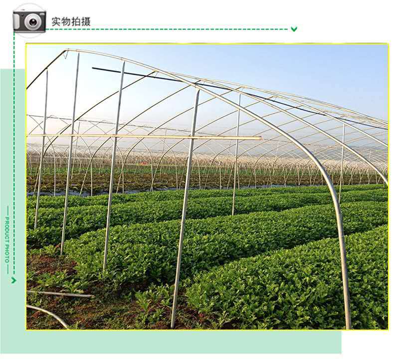 d78ea2c99213b3e94871a362b9324d