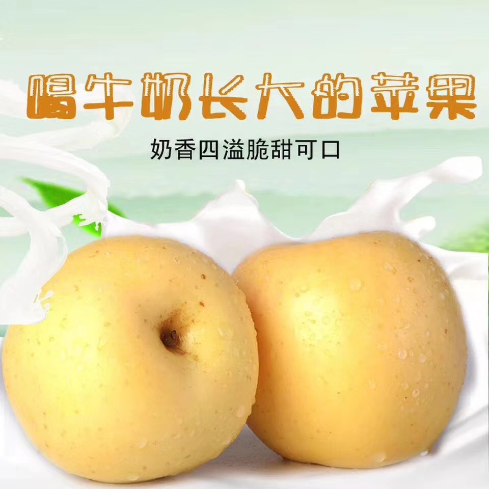 9461550f986d03b0da83d0bfc3e8ba