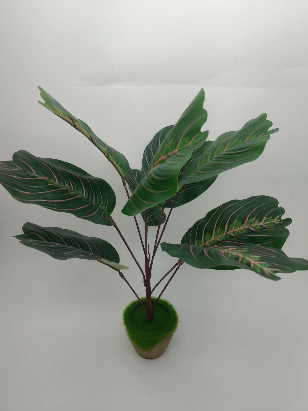 WeChat 圖片_20200708103511