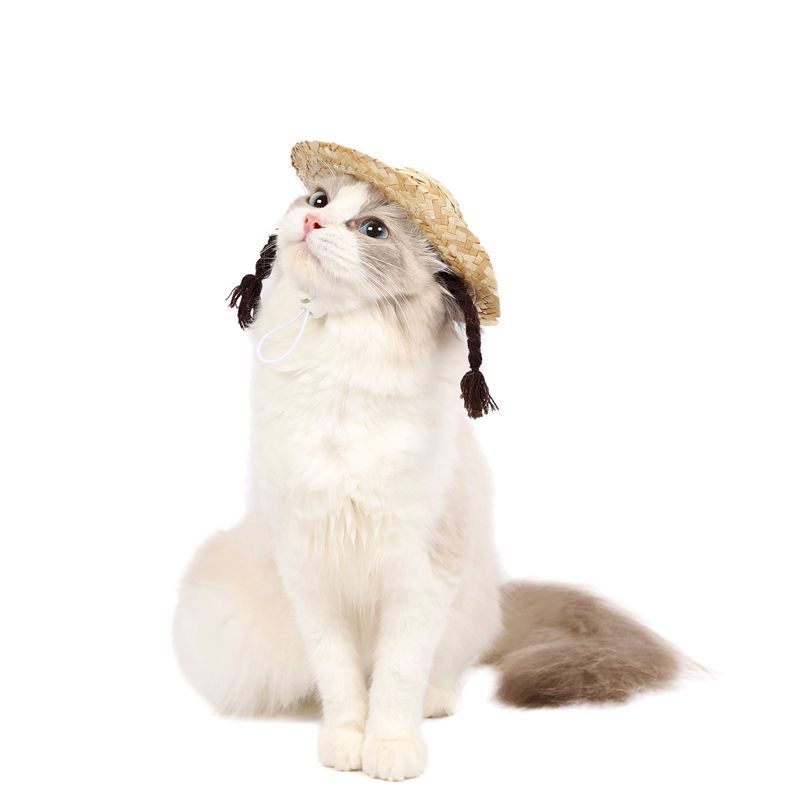IMG_0716