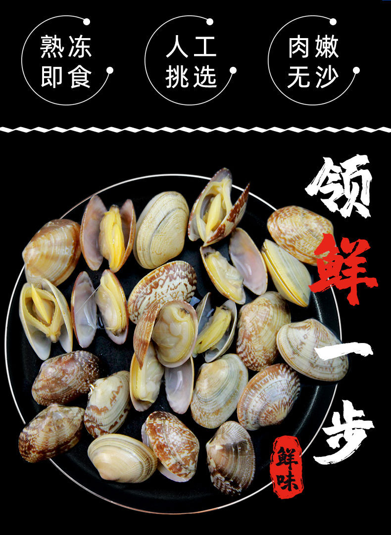 海鲜花蚬子图片,海鲜蚬子图片,花蚬子图片_大山谷图库