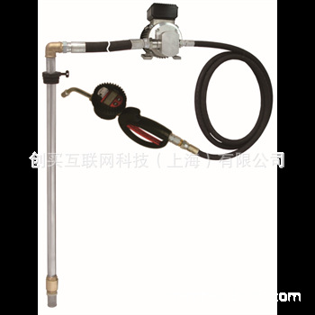 用于200L油桶电动齿轮泵组套，8Bar