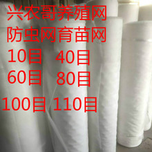 ����ϩ �Bֳ�W ˮ�� ���x  ���� ţ�� ˮ�a �����Bֳ�W 40Ŀ 60Ŀ