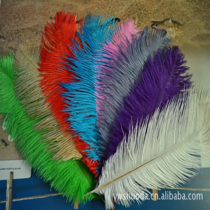 c0f0b0a9154e99c62782a4f014963e